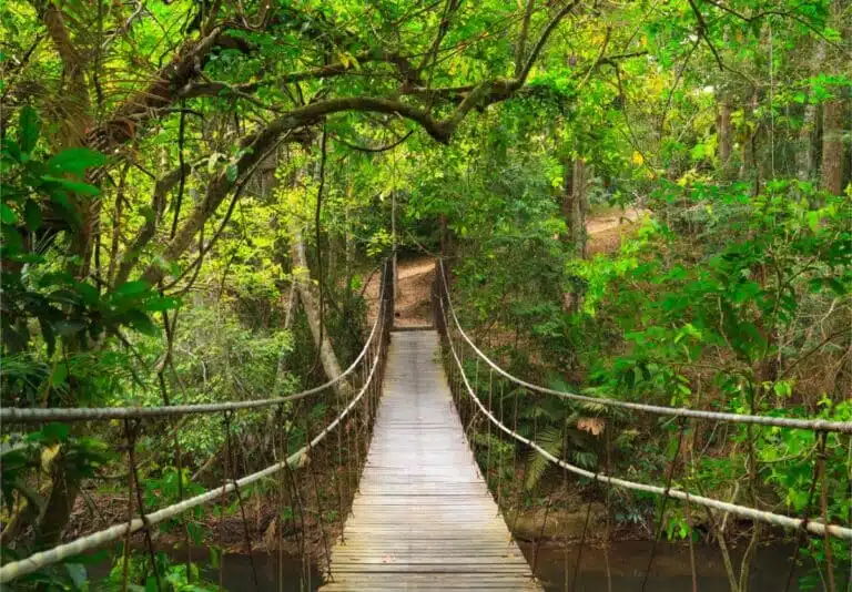 3 Best Ways To Get From Bangkok To Khao Yai, Thailand