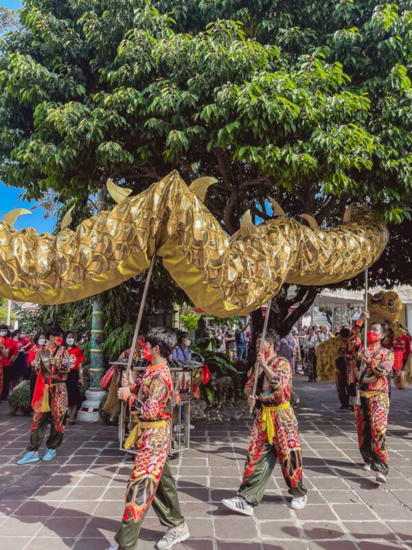 what does chinese new year mean to you