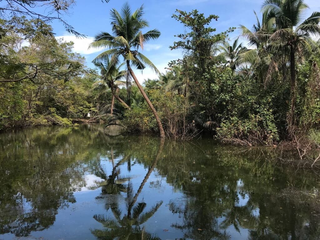 Sri Nakhon Khuean Khan Park (Bang Krachao)